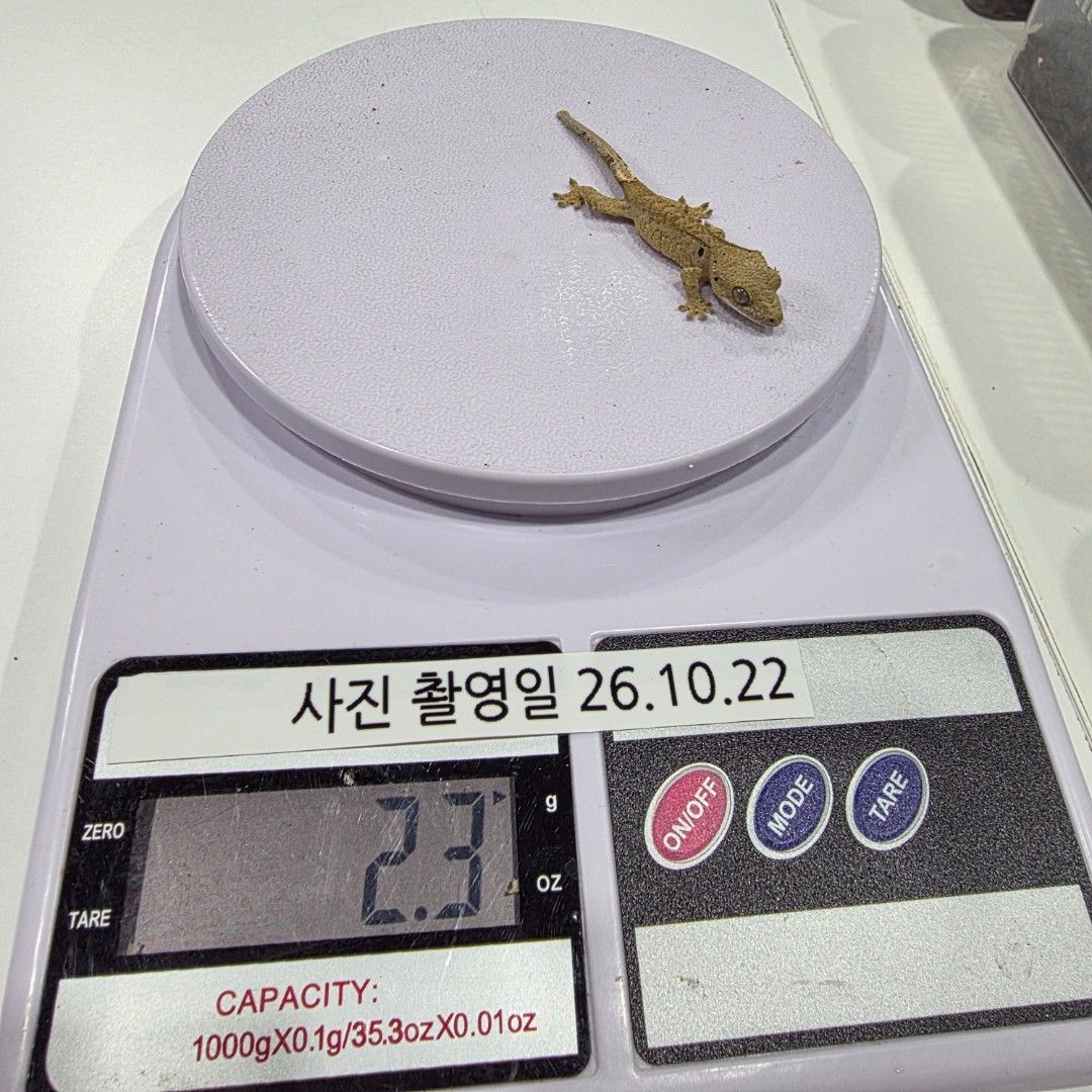 KakaoTalk_20261022_185521199_18.jpg