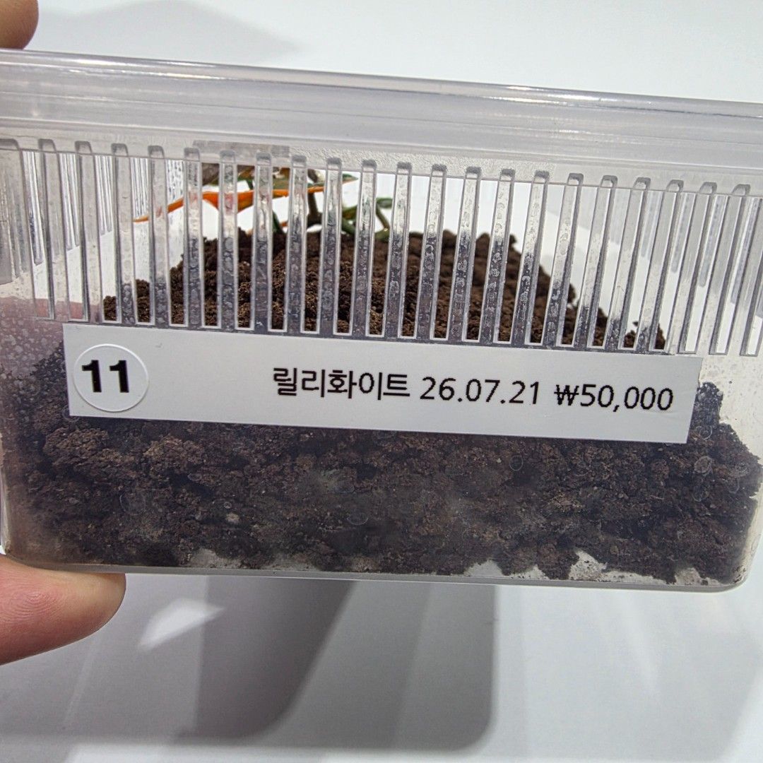 KakaoTalk_20261022_215617691_19.jpg