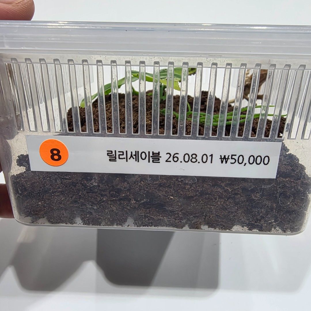 KakaoTalk_20261022_232851602_09.jpg