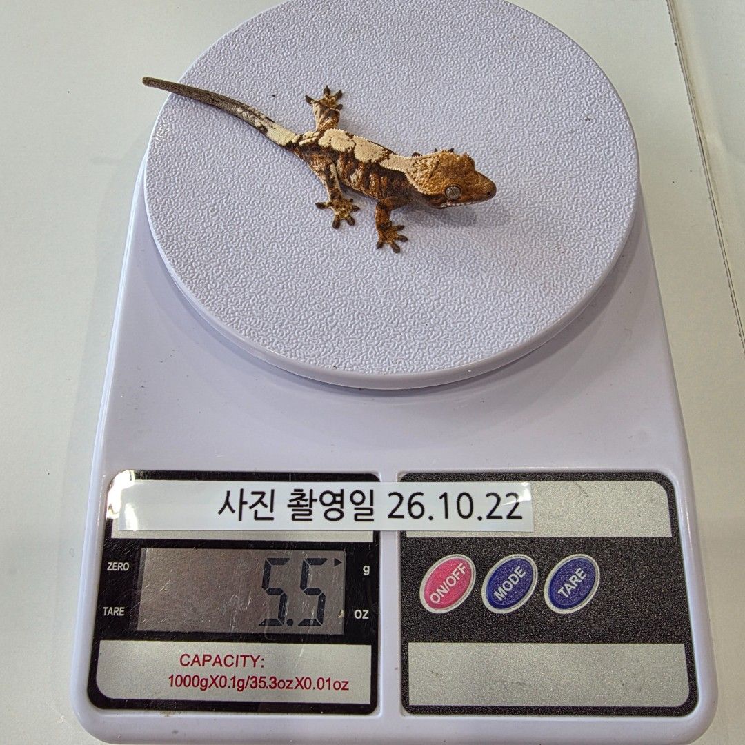 KakaoTalk_20261022_144118056_26.jpg