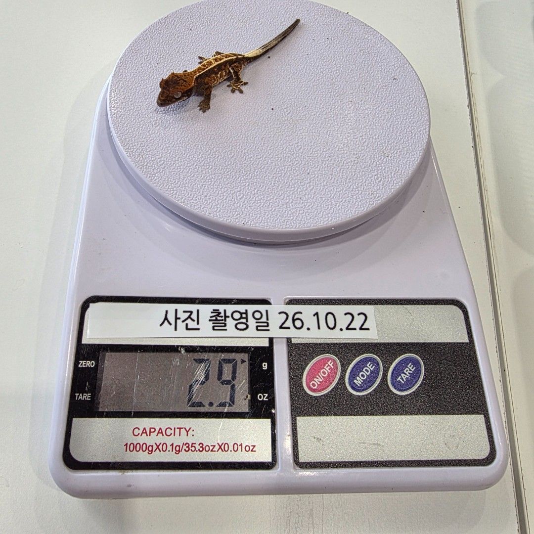 KakaoTalk_20261022_161926572_08.jpg
