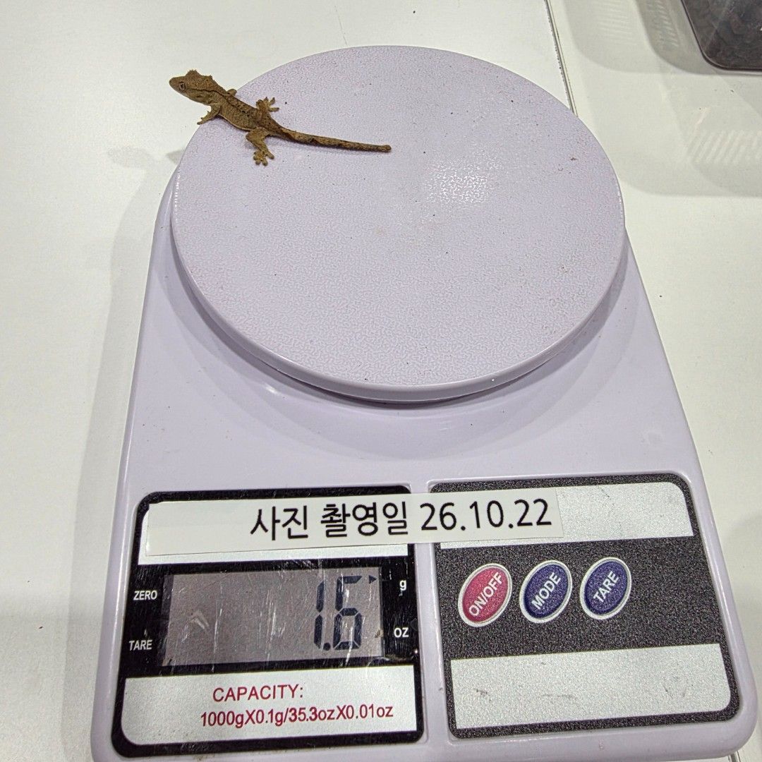 KakaoTalk_20261022_185547038_05.jpg