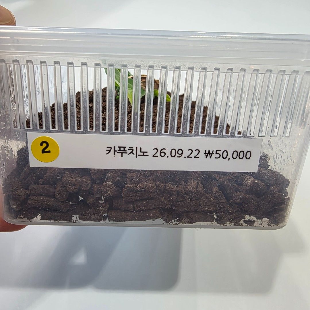 KakaoTalk_20261022_161926572_28.jpg