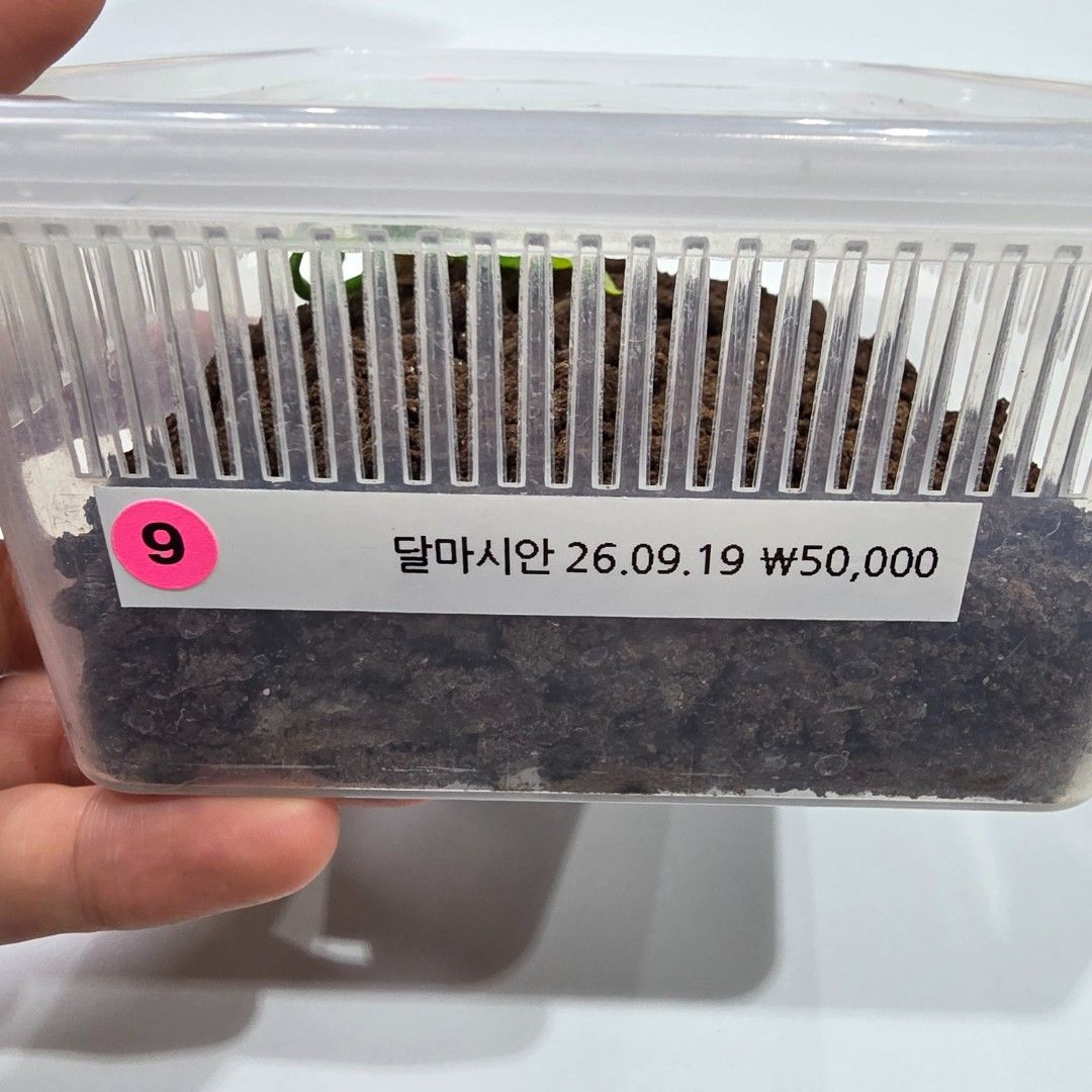 KakaoTalk_20261022_185547038_13.jpg