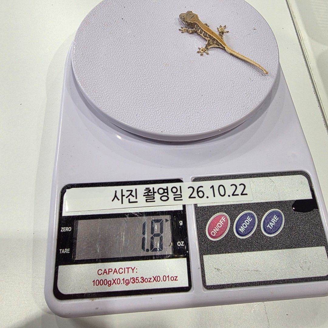 KakaoTalk_20261022_173702076_21.jpg