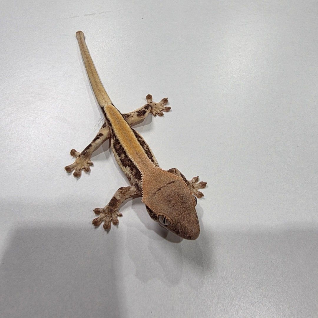 KakaoTalk_20261022_204119613_19.jpg