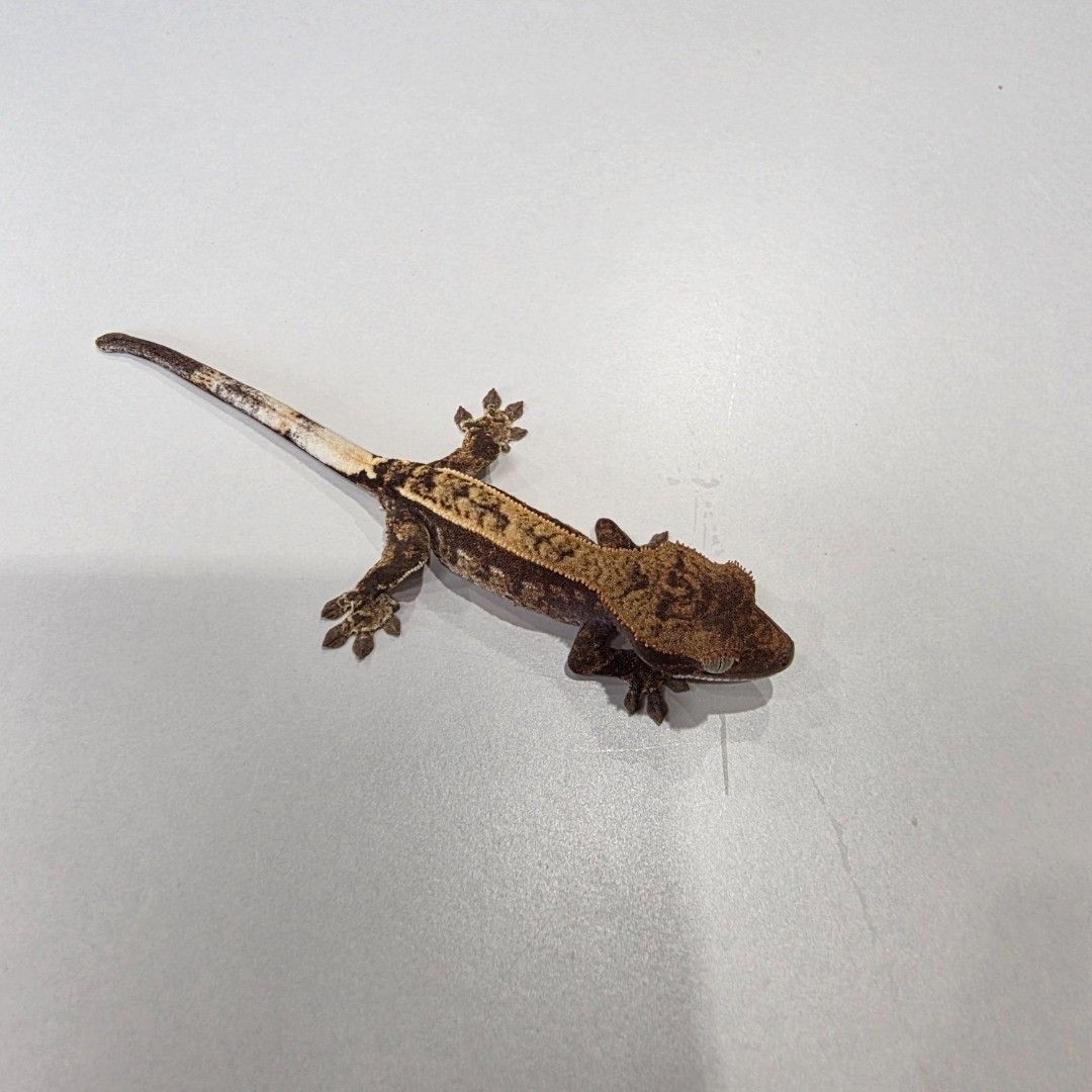 KakaoTalk_20261022_161926572_24.jpg