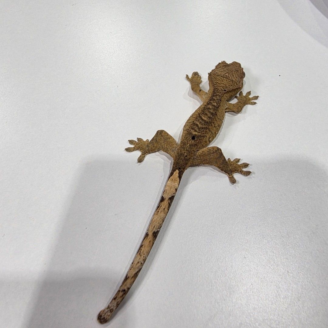KakaoTalk_20261022_185521199_15.jpg