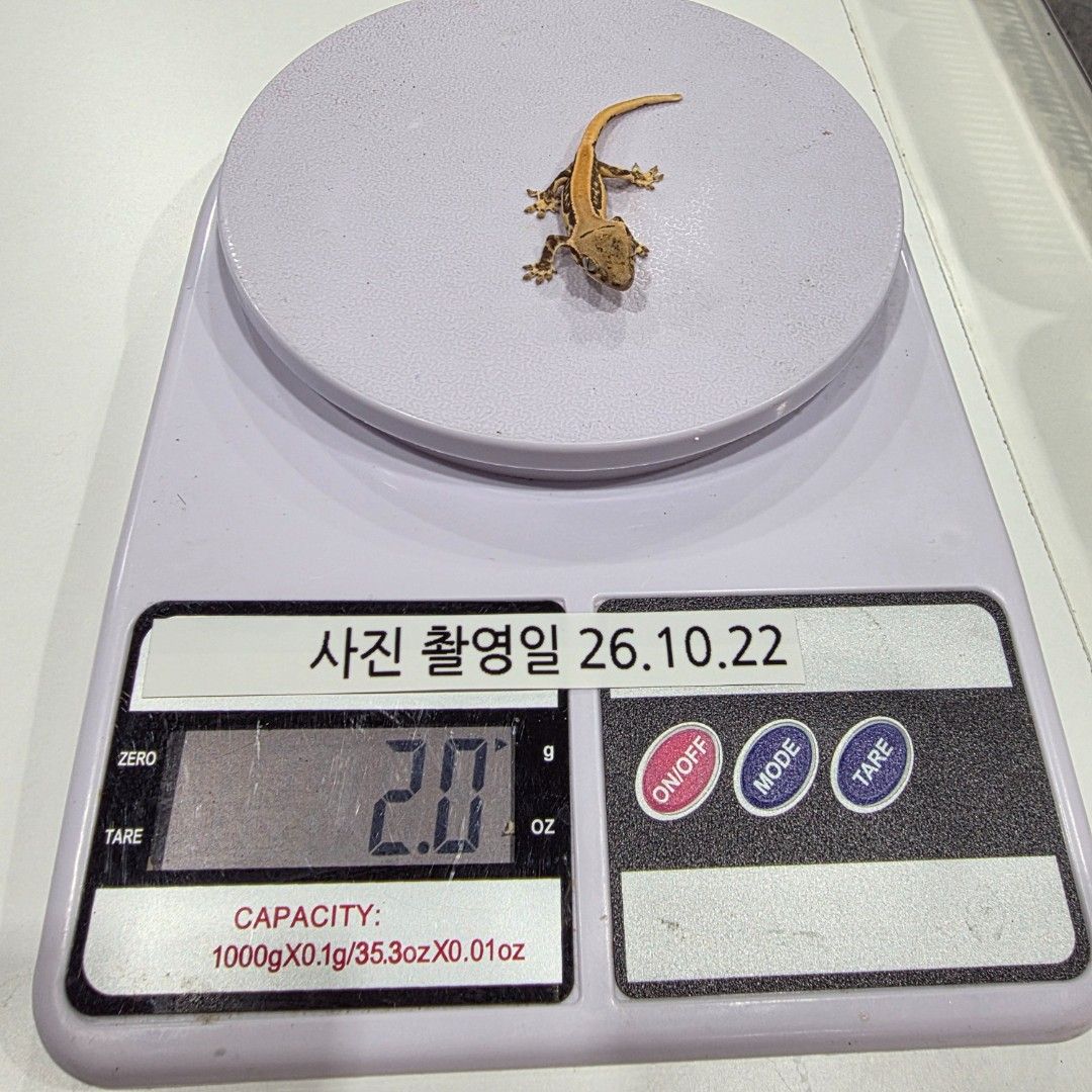 KakaoTalk_20261022_204109936_18.jpg