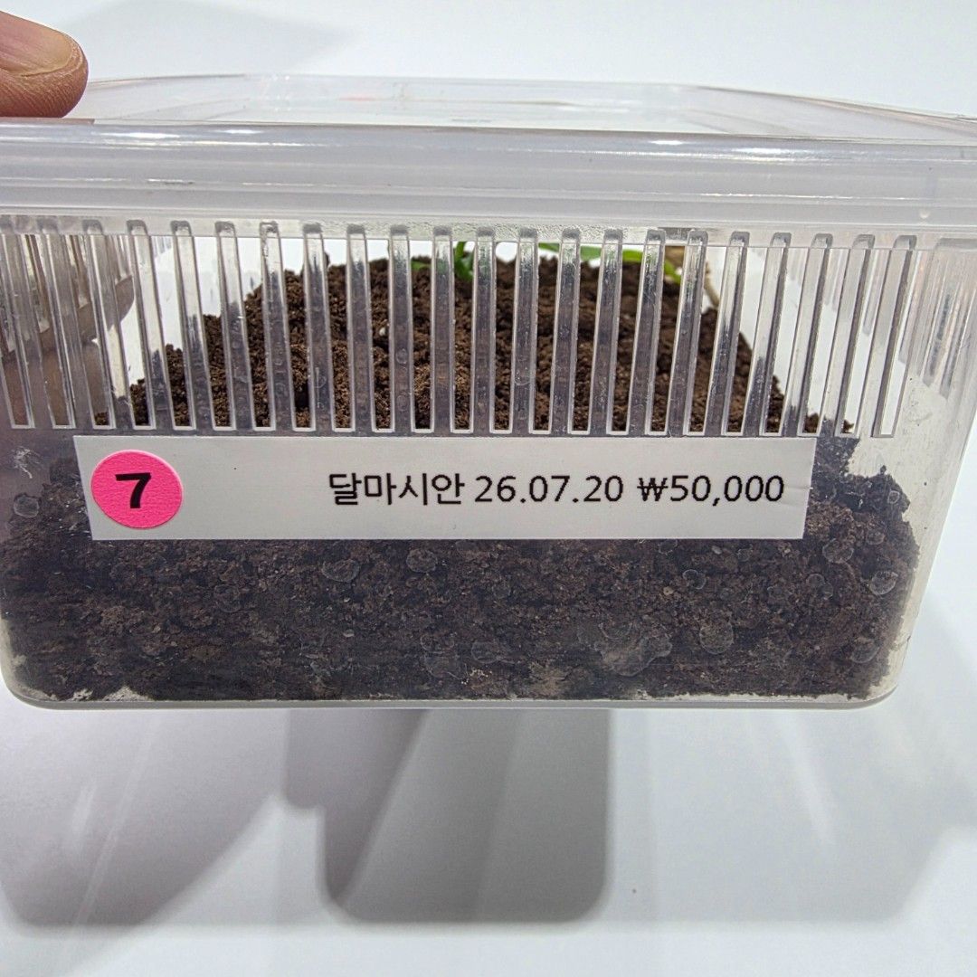 KakaoTalk_20261022_185535074_25.jpg