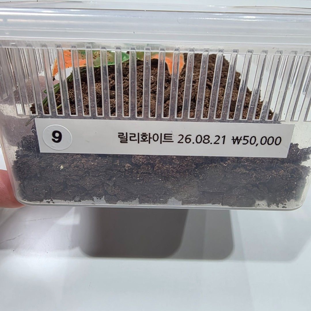 KakaoTalk_20261022_215617691.jpg