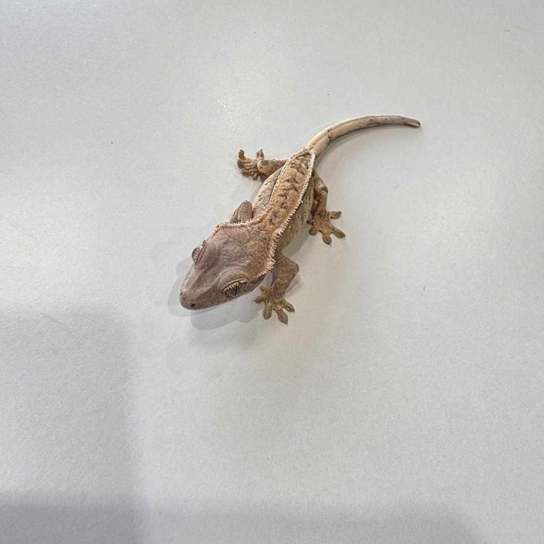 KakaoTalk_20261022_144105035_02.jpg