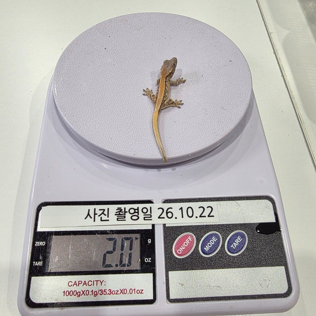 KakaoTalk_20261022_173702076_12.jpg