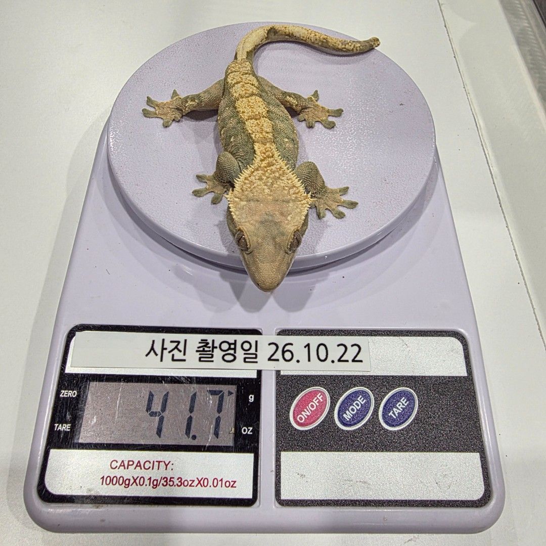 KakaoTalk_20261023_011351829_01.jpg