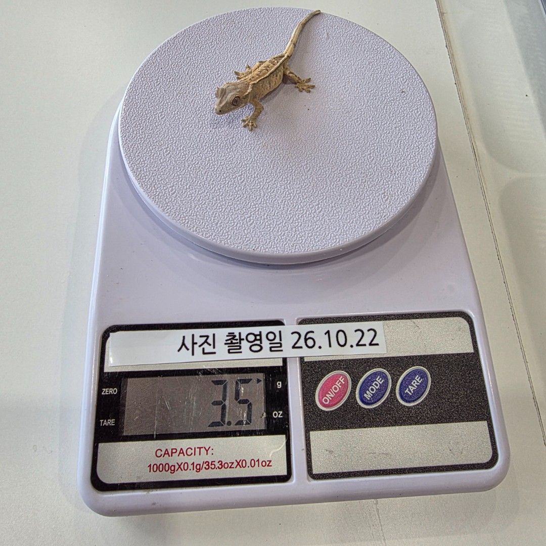 KakaoTalk_20261022_144105035_03.jpg