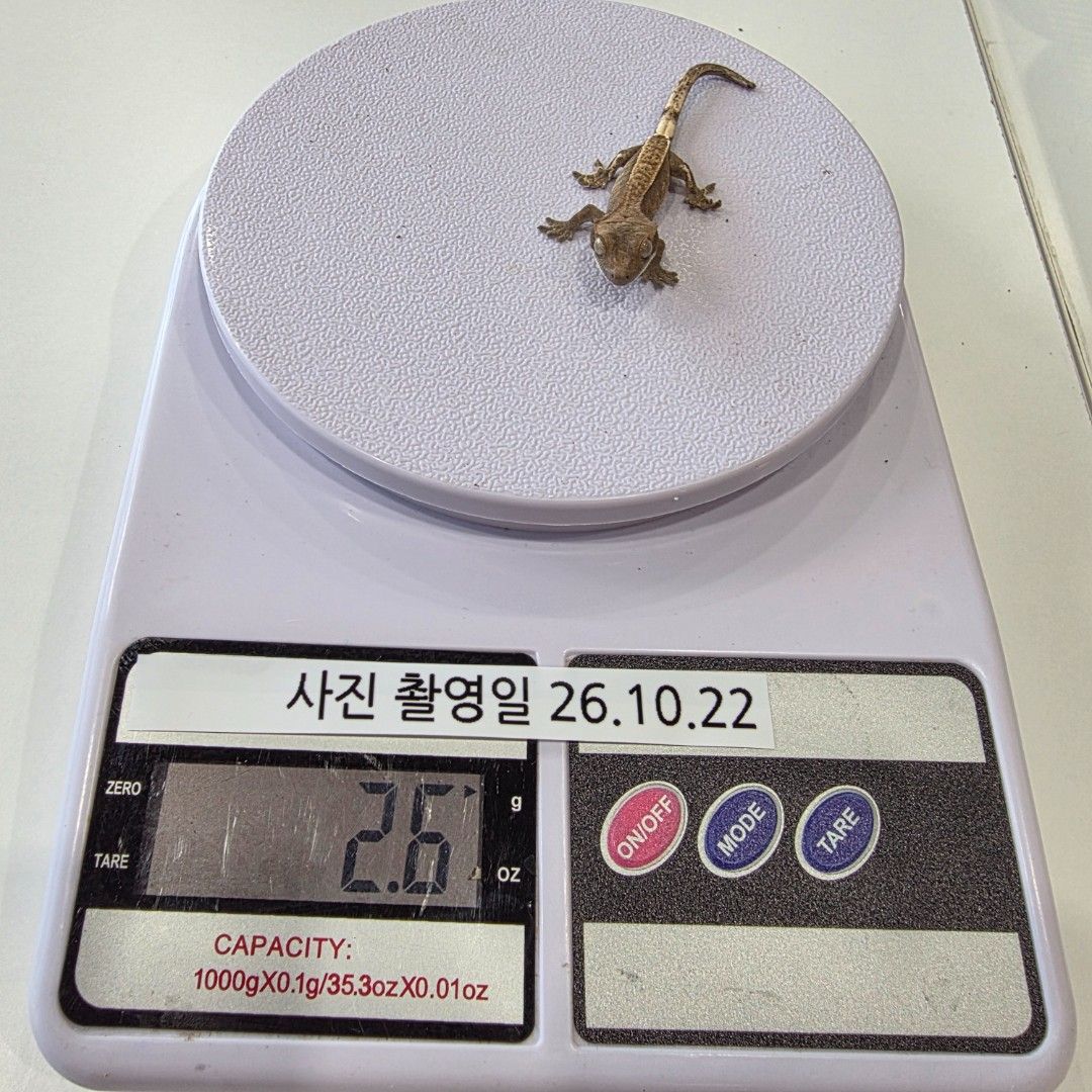 KakaoTalk_20261022_161926572_17.jpg