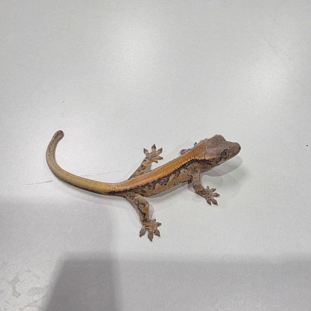 KakaoTalk_20261022_173702076_07.jpg