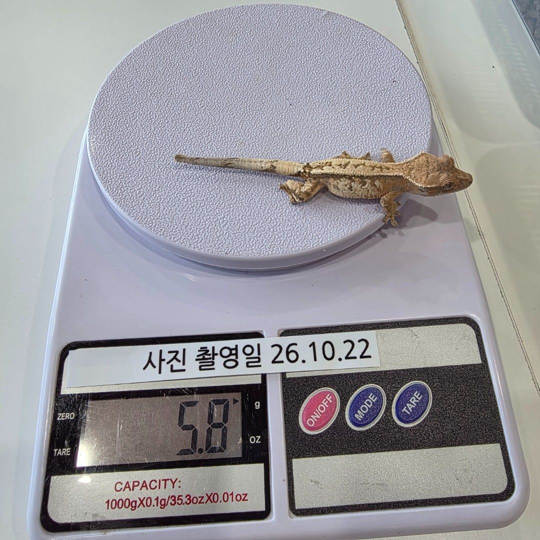 KakaoTalk_20261022_144048137_22.jpg