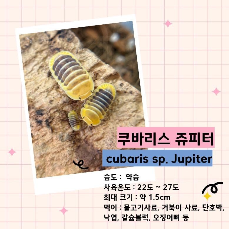 주피터.jpg