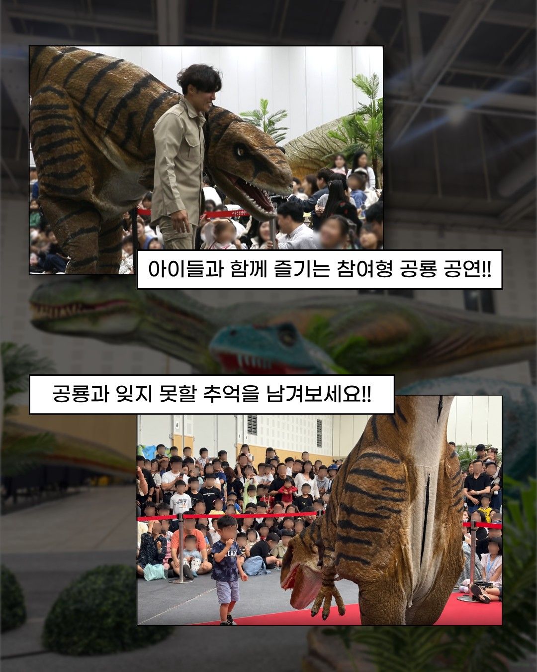 공룡쇼 with 파충류 in 광주 (키워 갯수 한정 특가 50% 할인)