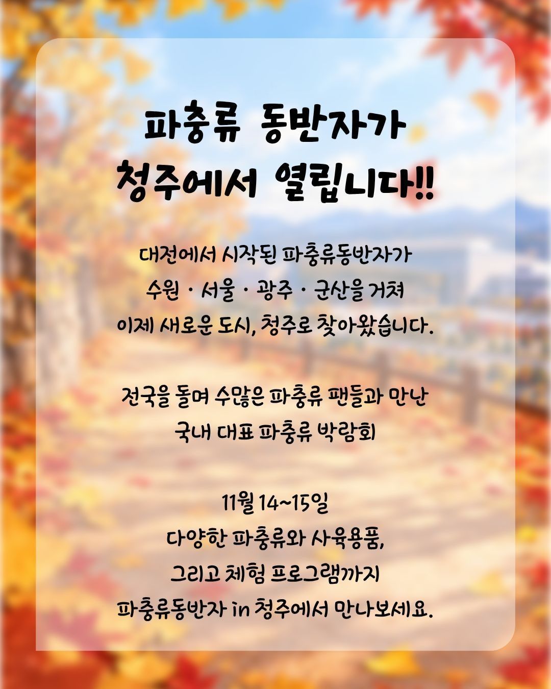 작은 물결: 파동, 파충류 동반자 in 청주 (키워특가)