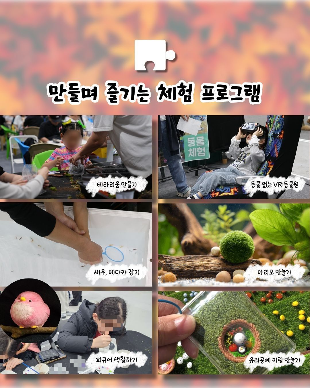 작은 물결: 파동, 파충류 동반자 in 청주 (키워특가)