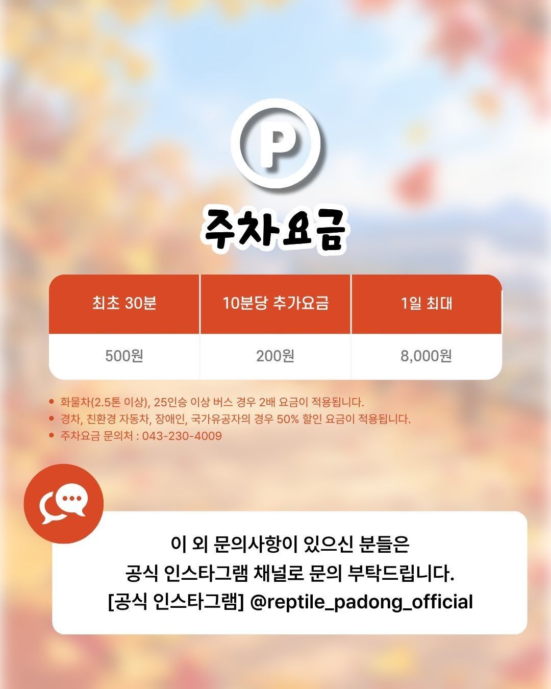 작은 물결: 파동, 파충류 동반자 in 청주 (키워특가)