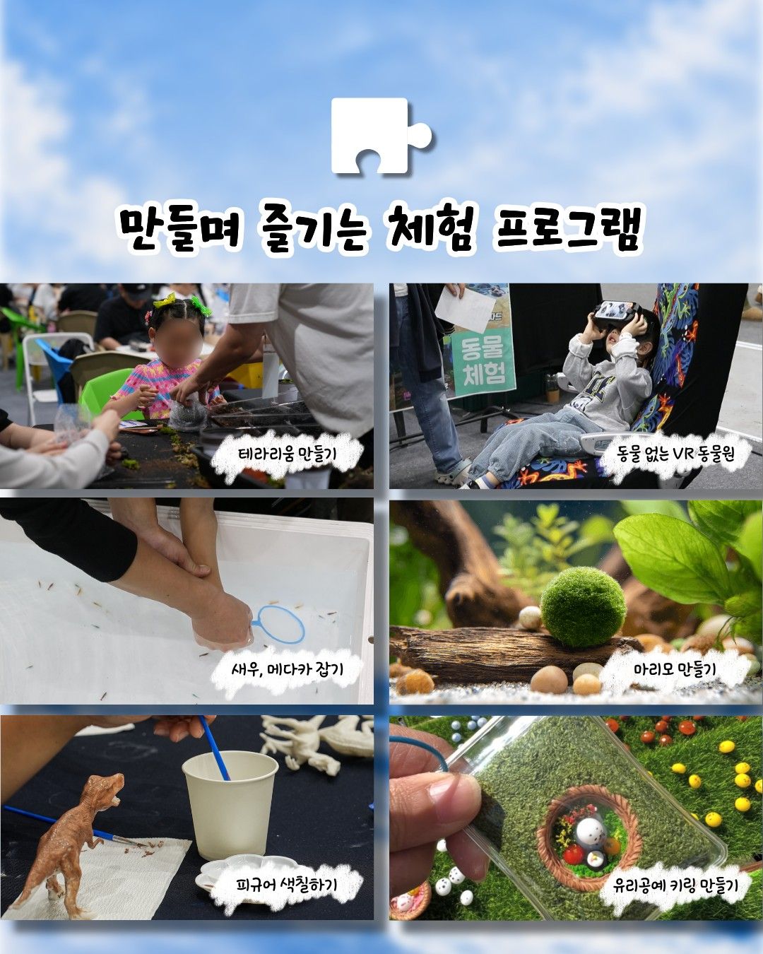 작은물결: 파동, 파충류 동반자 in 부산 (키워 특가)