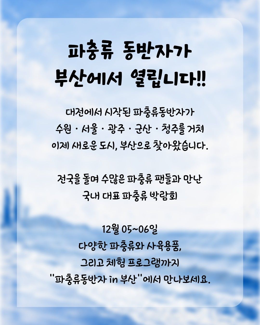 작은물결: 파동, 파충류 동반자 in 부산 (키워 특가)