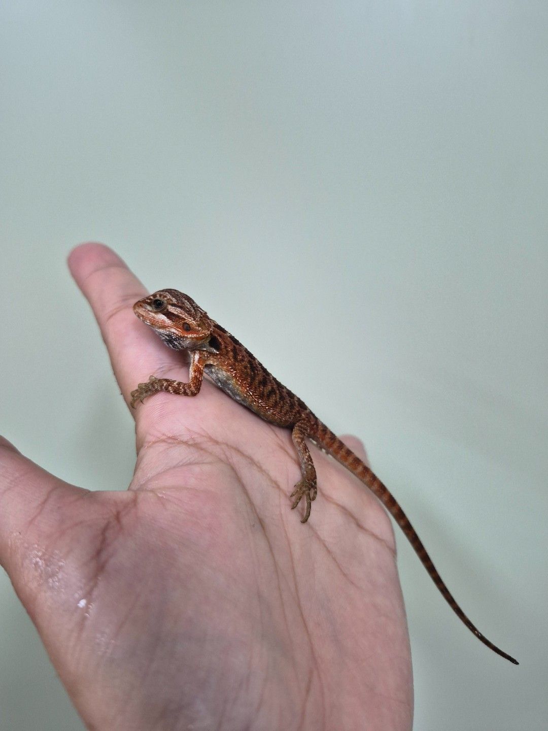 scaled_34682.jpg