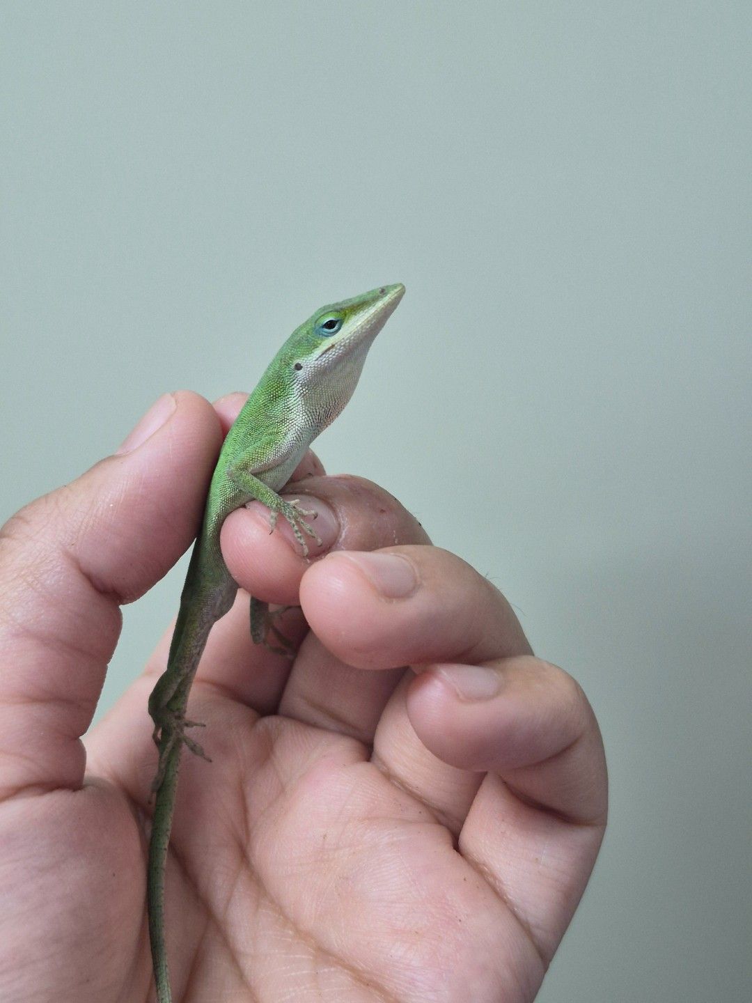 scaled_36697.jpg