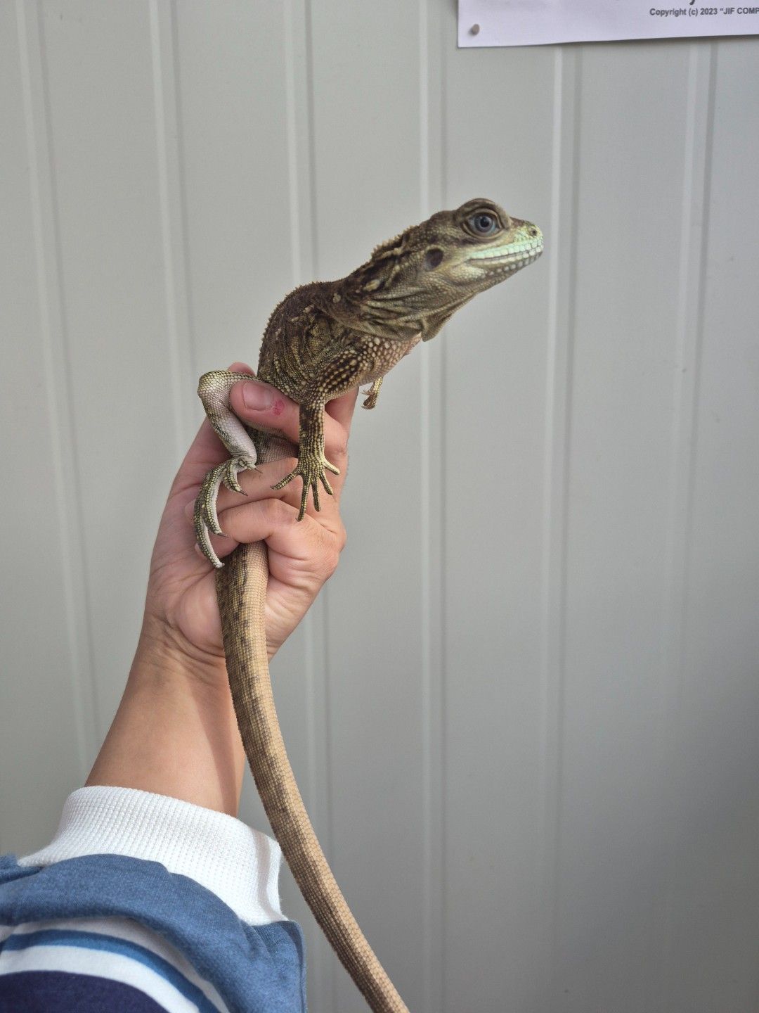 scaled_32423.jpg