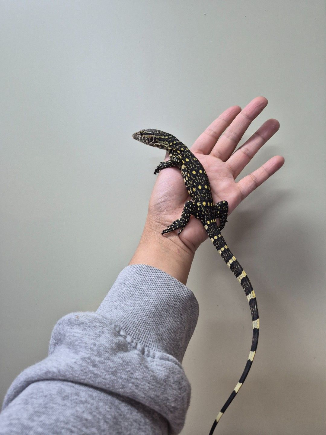 scaled_33400.jpg