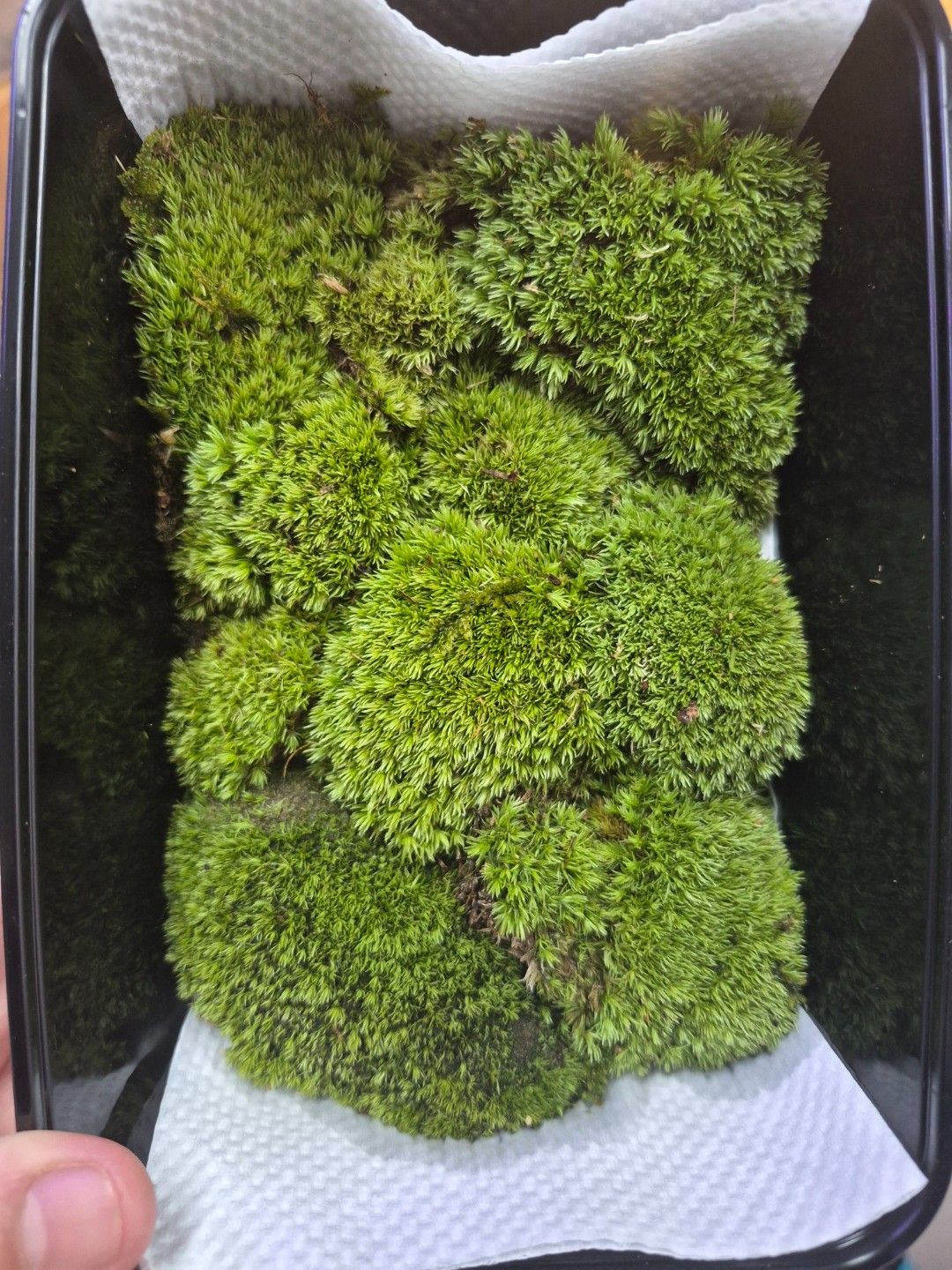 scaled_33564.jpg
