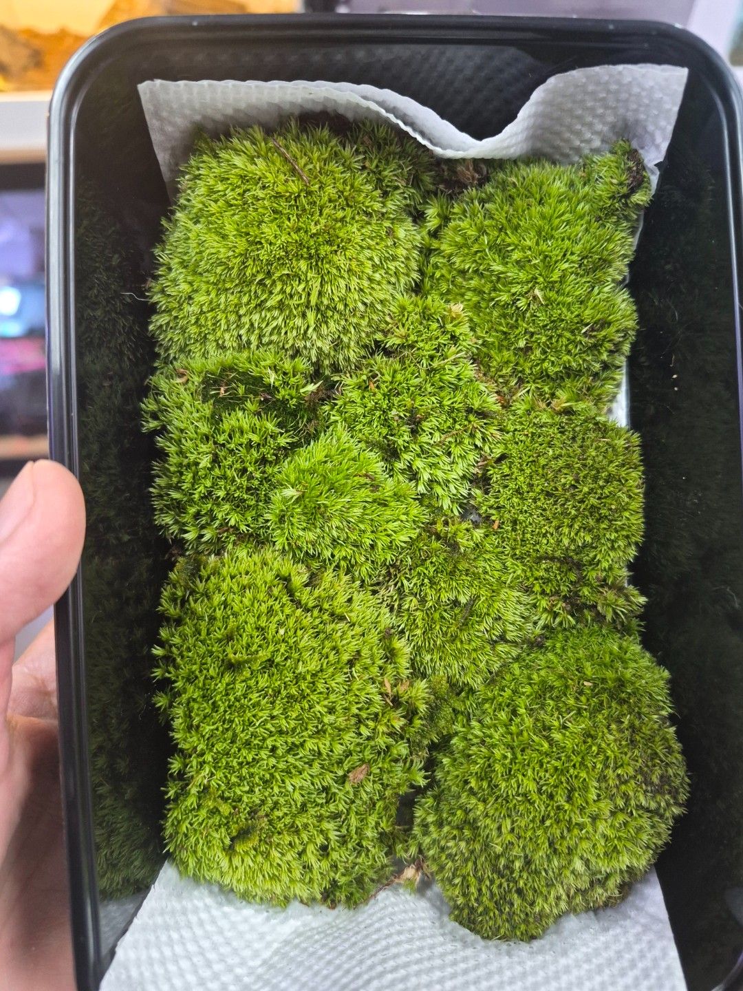scaled_33558.jpg