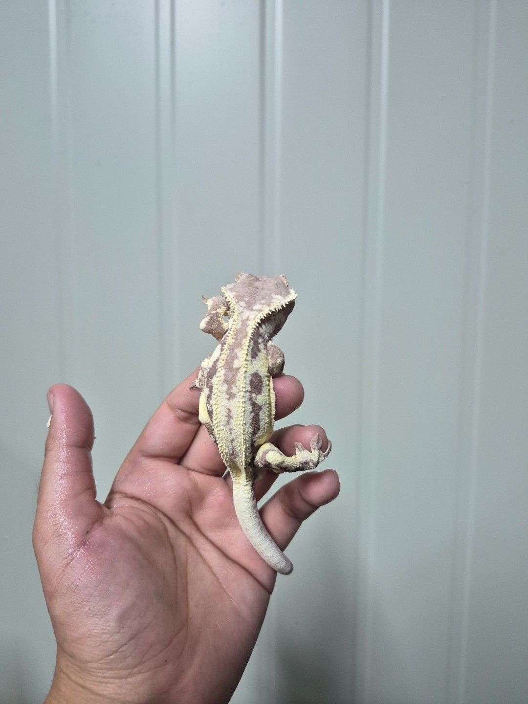 scaled_34013.jpg
