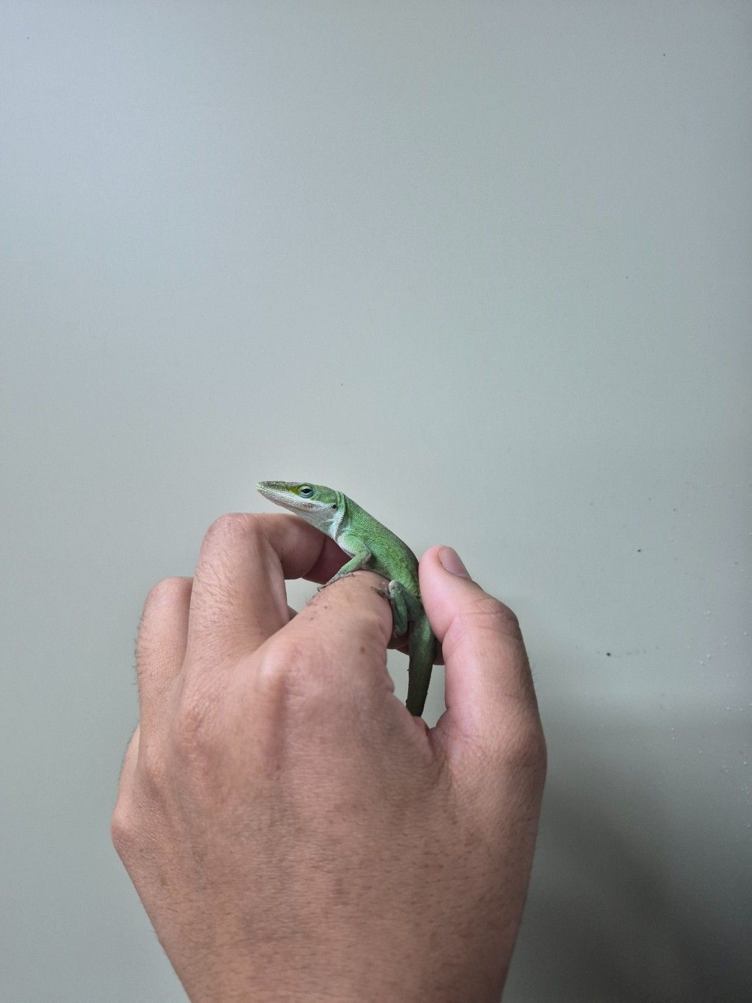 scaled_36683.jpg