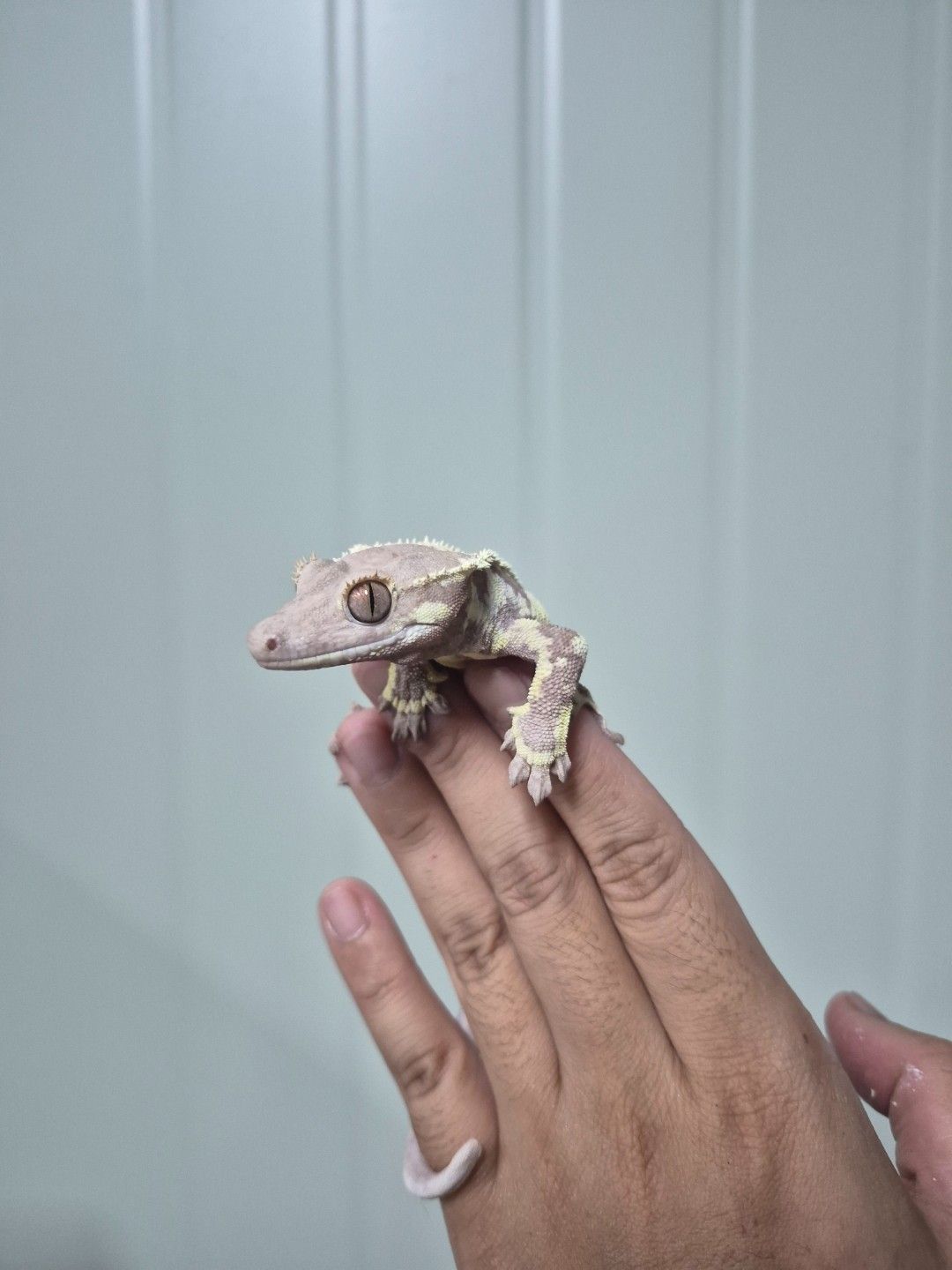 scaled_34015.jpg