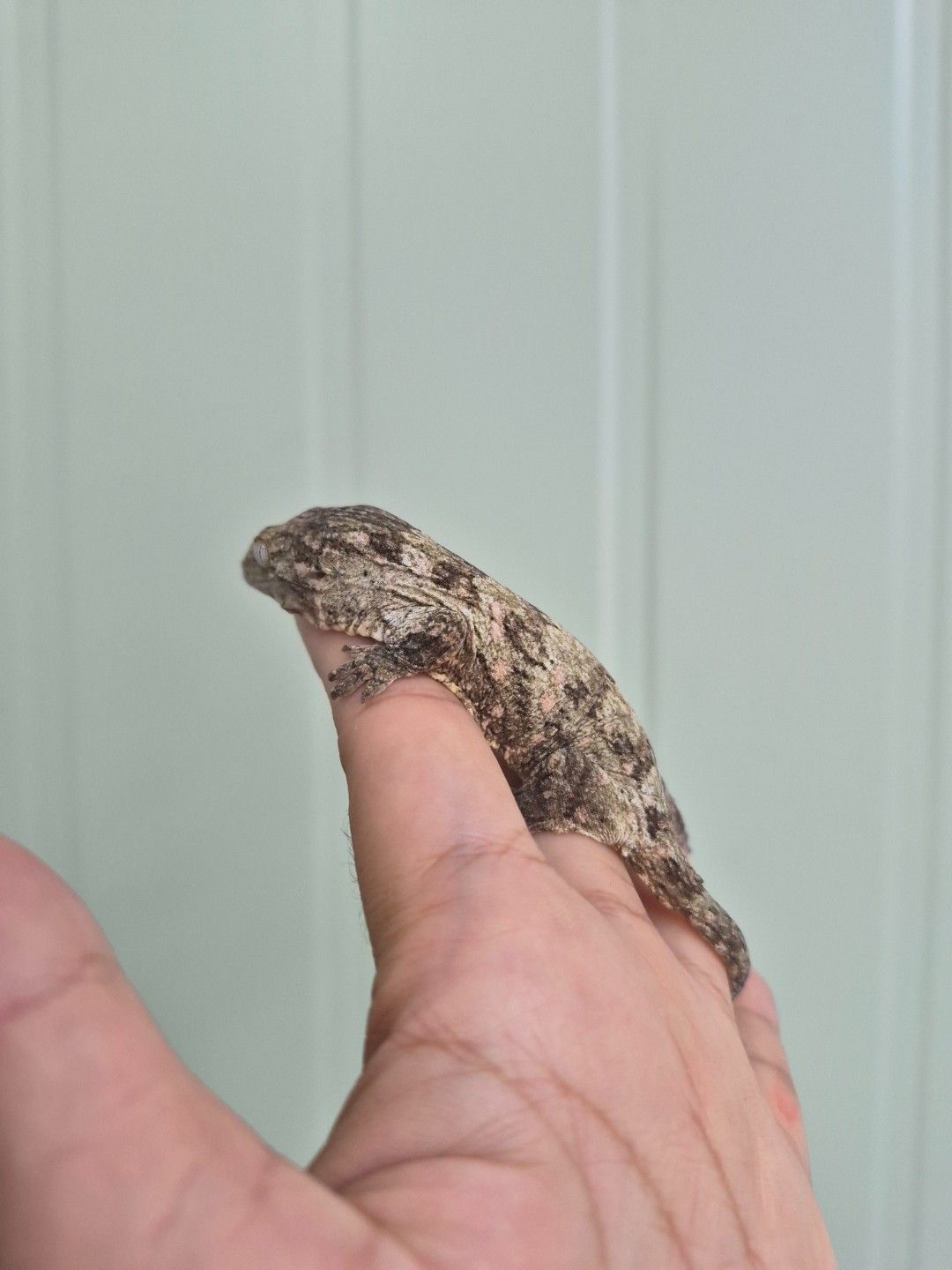 scaled_36752.jpg