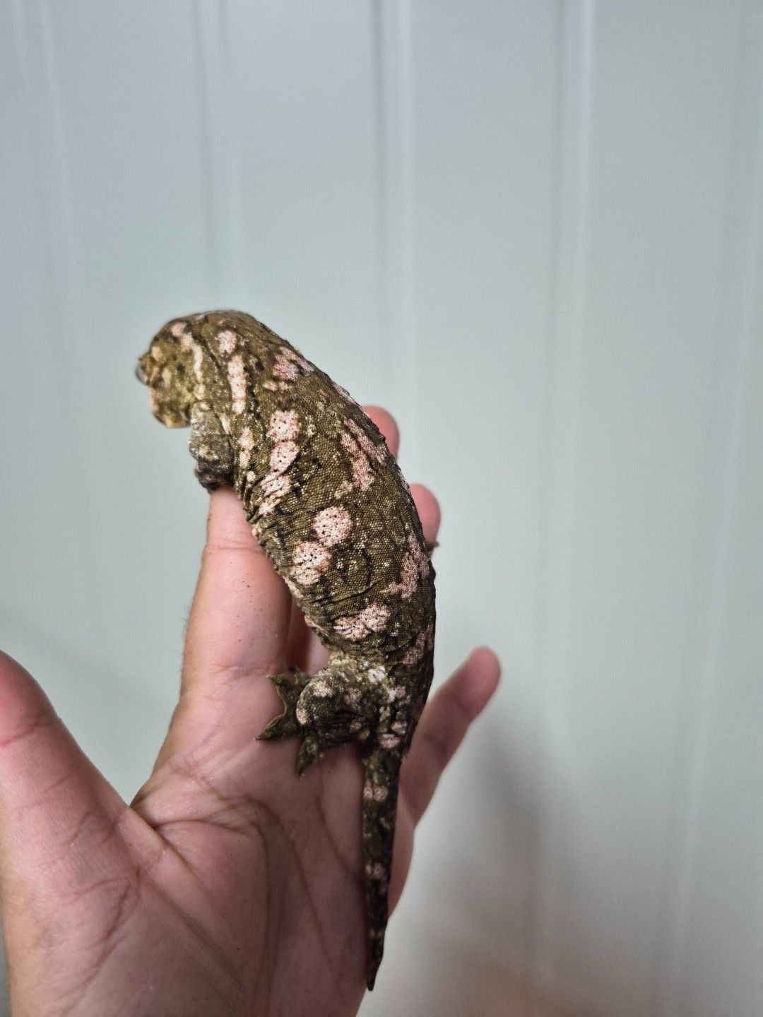scaled_33679.jpg