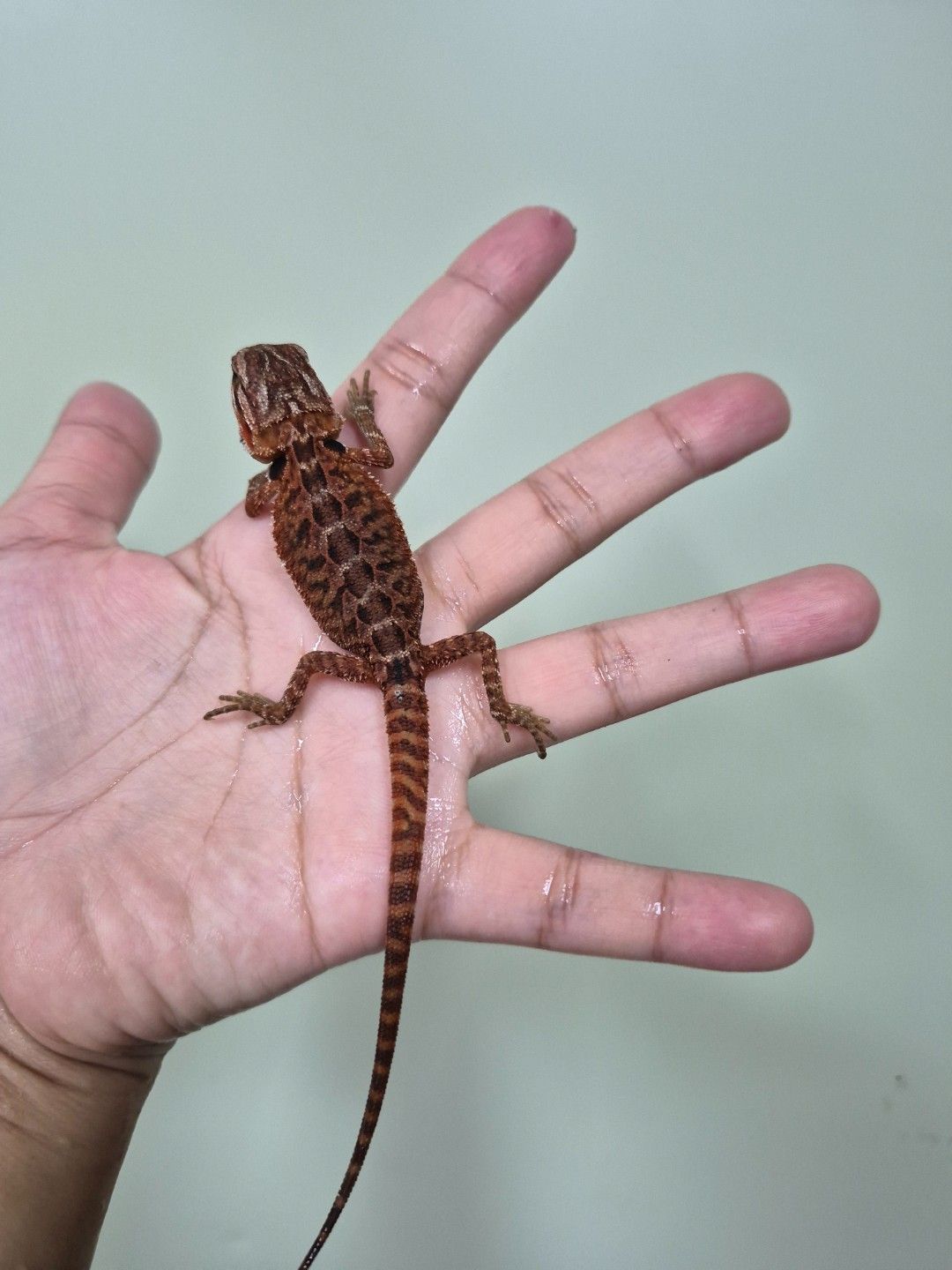 scaled_34681.jpg