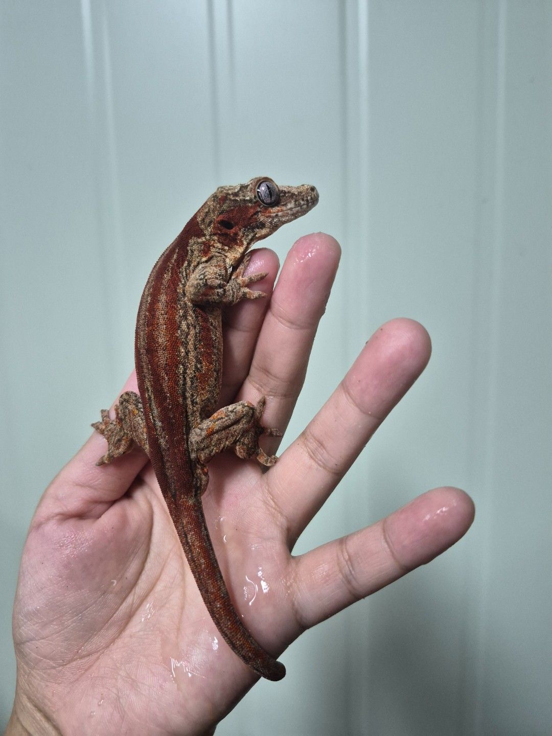 scaled_34059.jpg