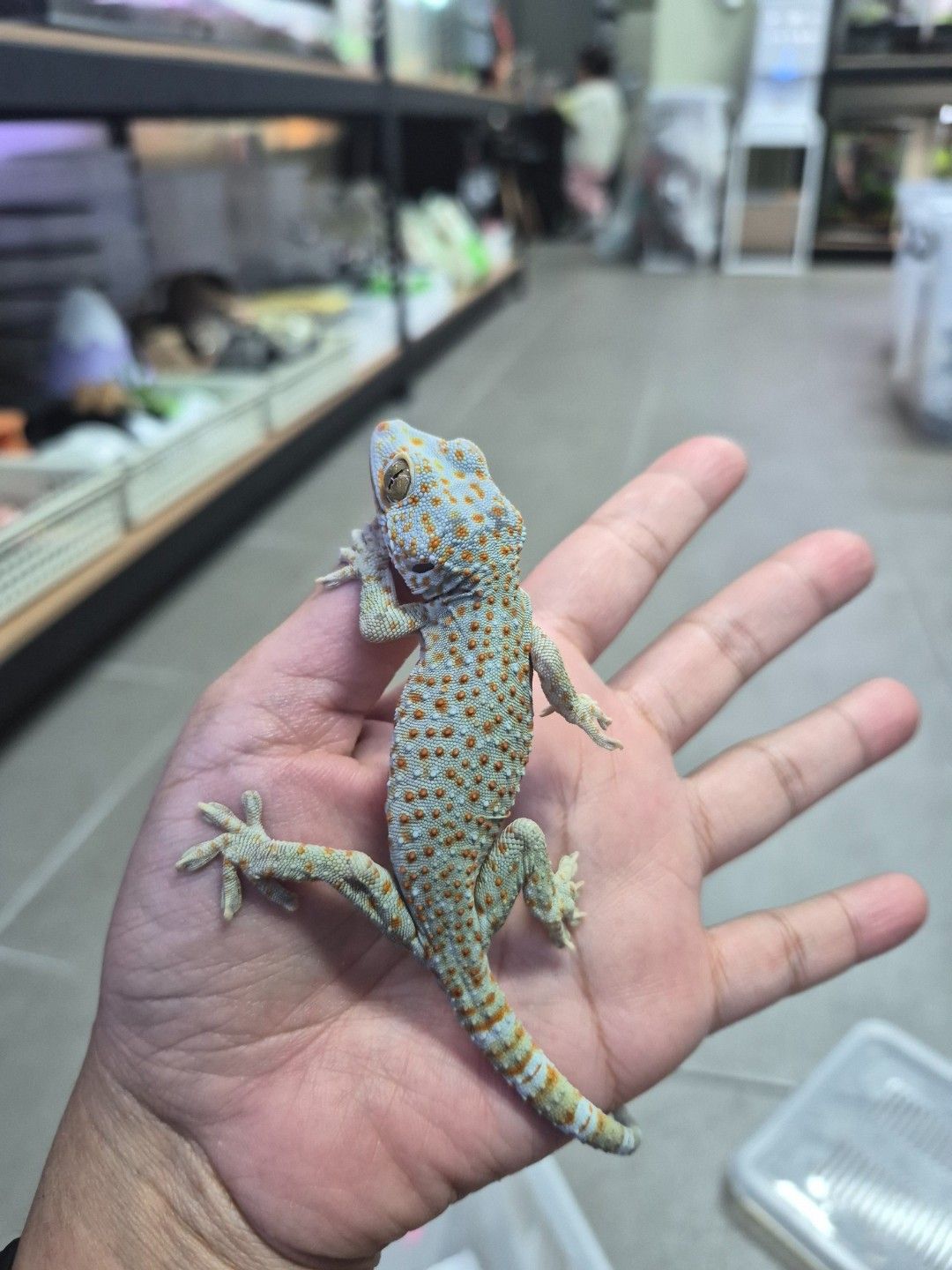 scaled_34529.jpg