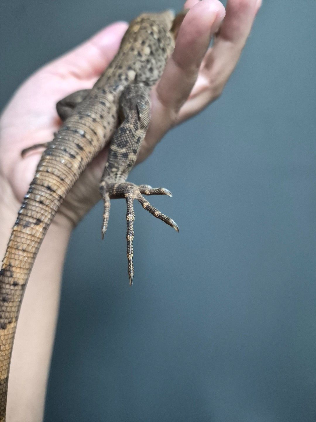 scaled_32969.jpg