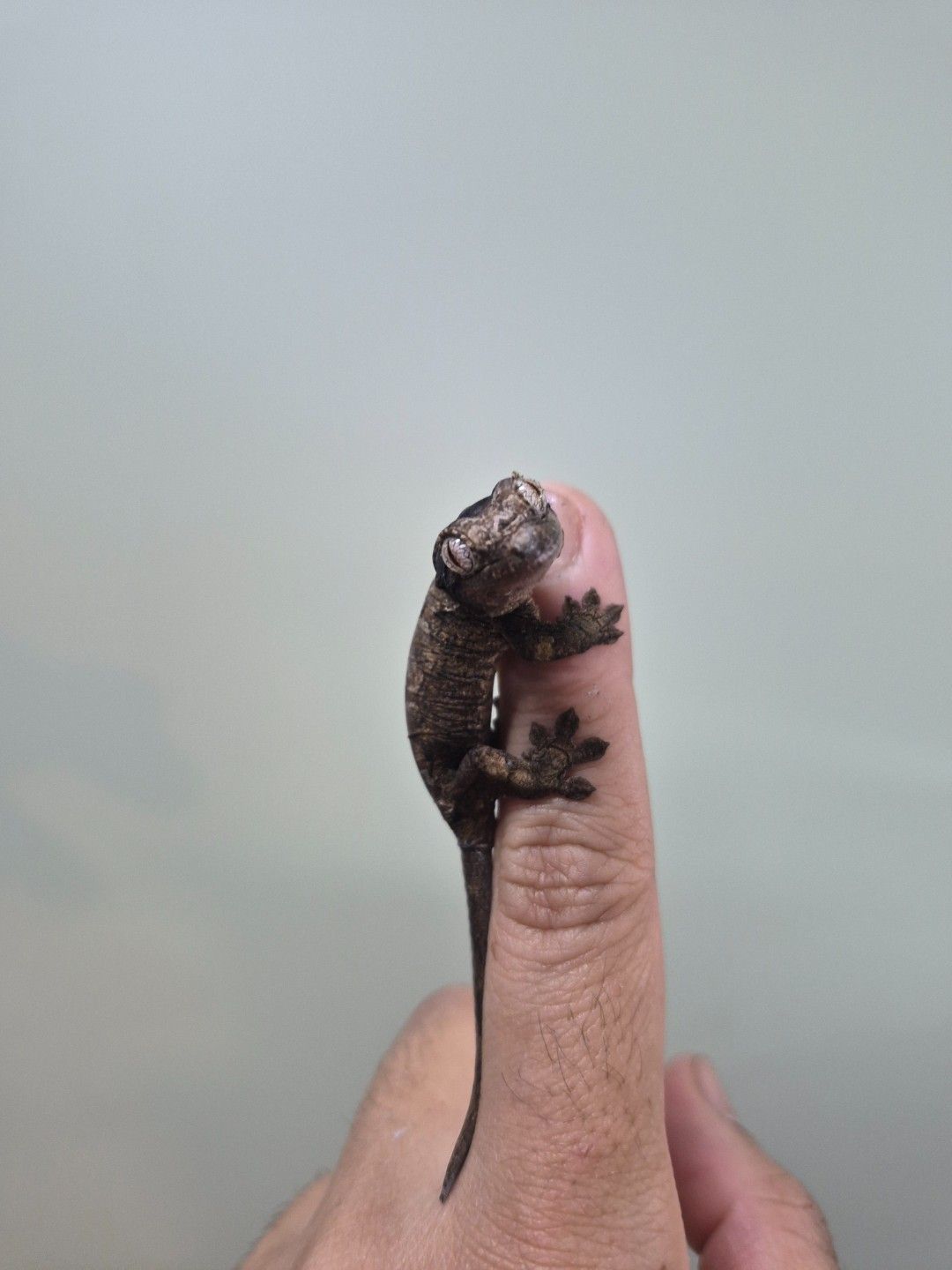 scaled_34260.jpg