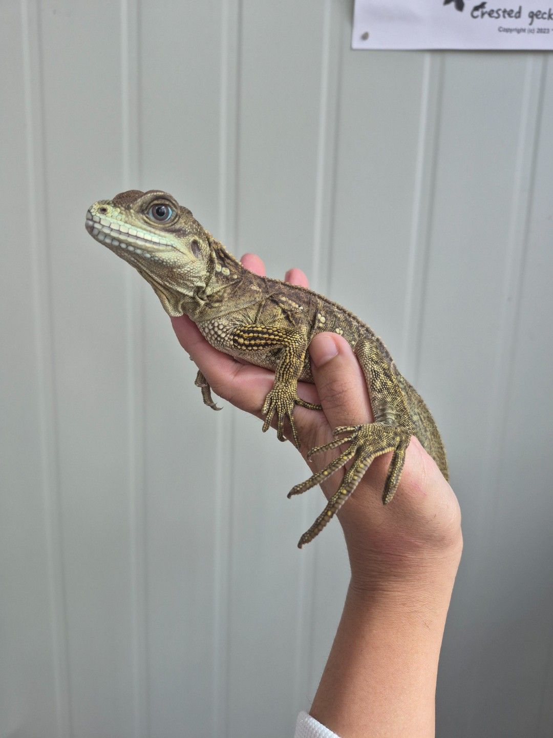 scaled_32425.jpg