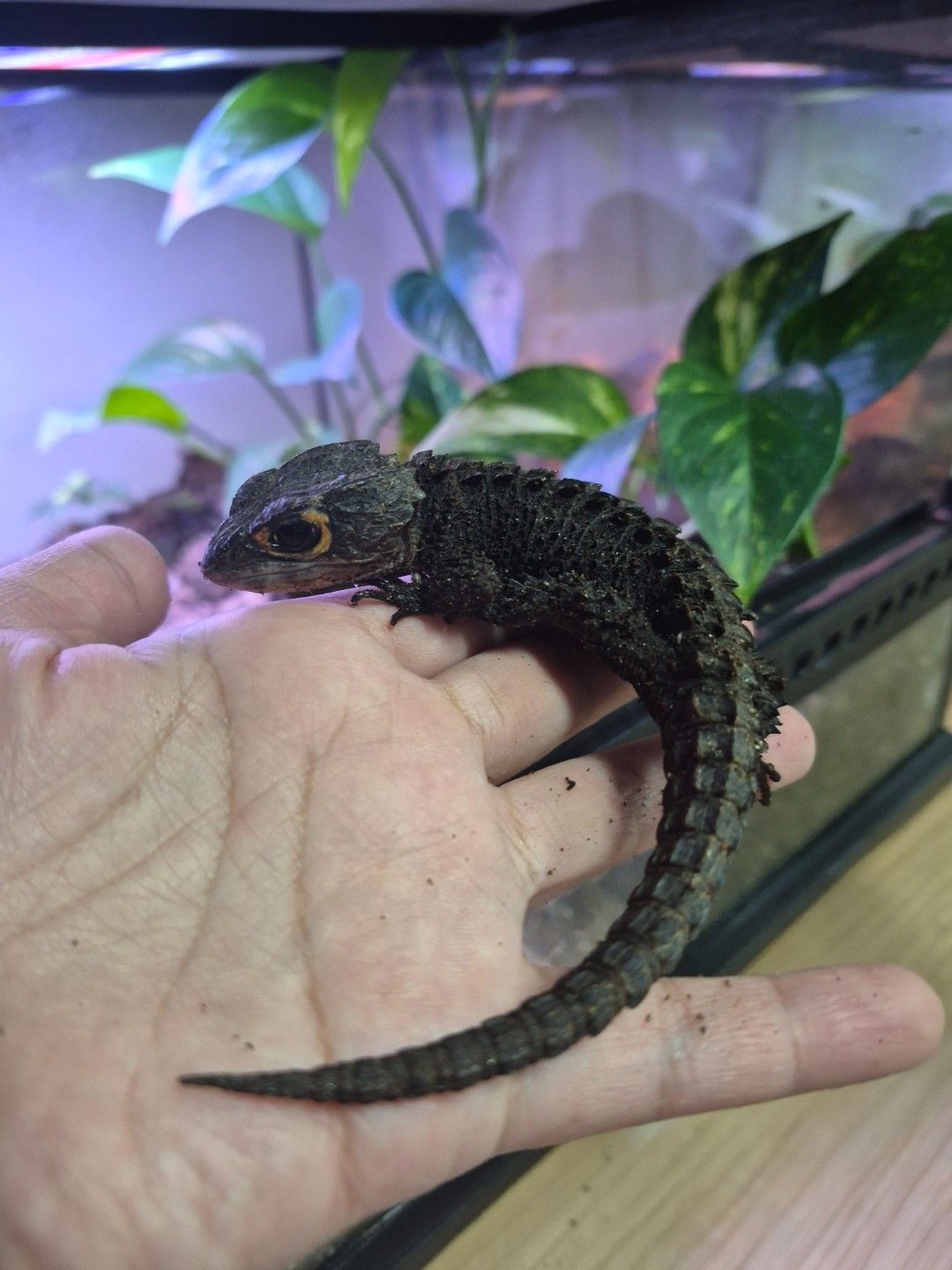 scaled_34144.jpg