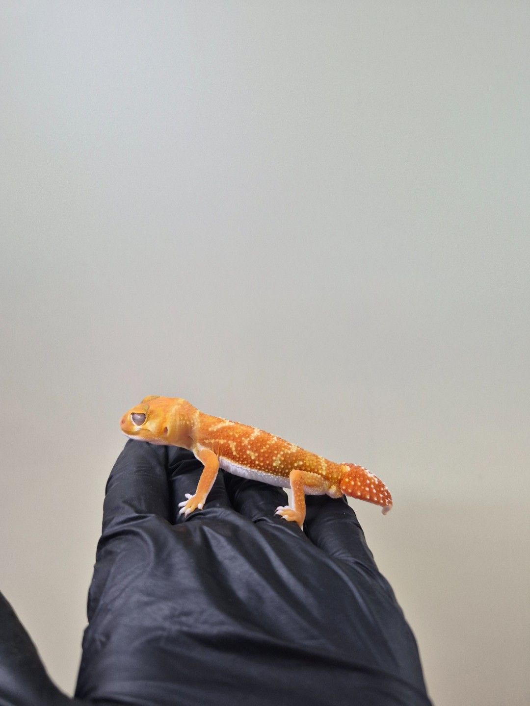 scaled_37909.jpg
