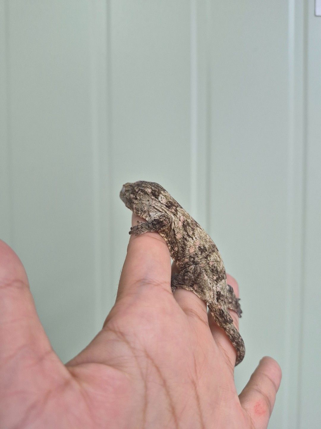 scaled_36753.jpg