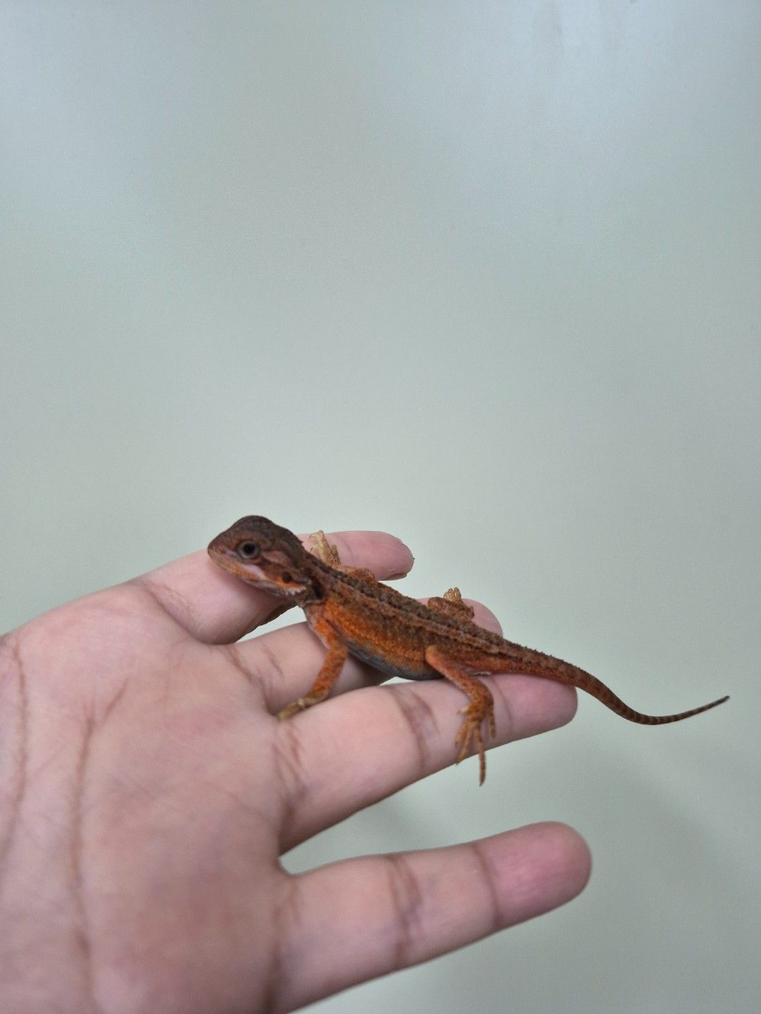 scaled_34678.jpg